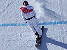 ech v rakouských barvách Matj vancer v olympijském slopestylu akrobatických...