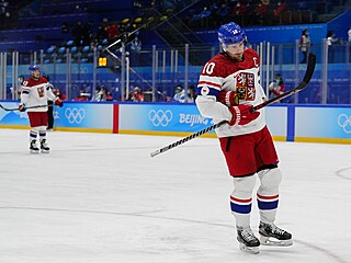 Olympijský turnaj v ledním hokeji. �esko - �výcarsko. Na snímku smutný kapitán...