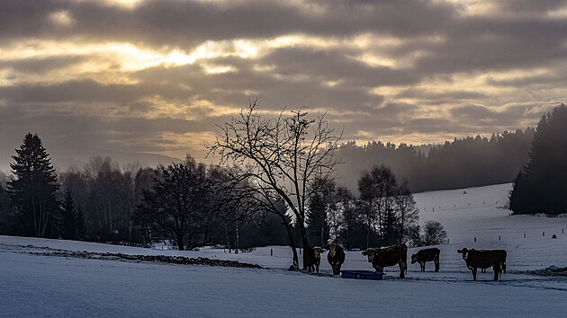 �umavsk� zimn� r�no