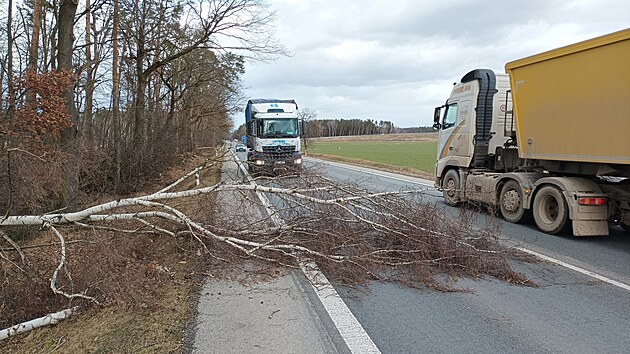 Spadl strom komplikoval dopravu na silnici za Veselm nad Lunic.
