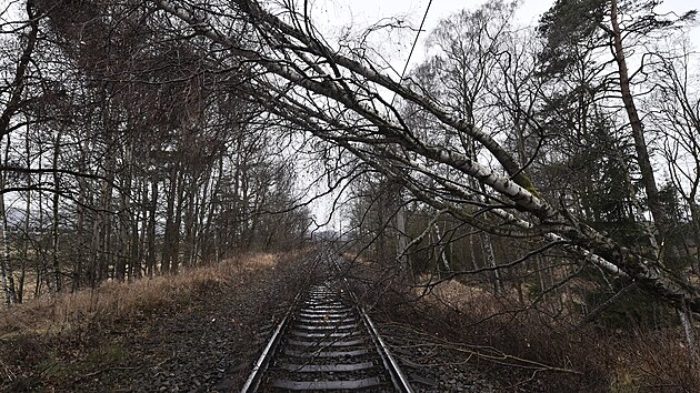 Kvli silnmu vtru spadl strom v Jihlav-Pvov na trati na Havlkv Brod.(18. nora 2022)