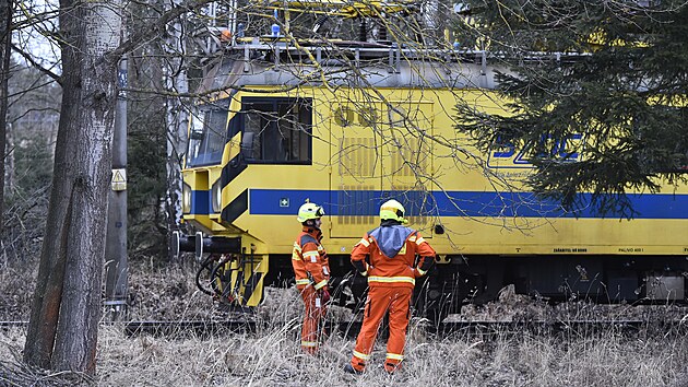 Kvli silnmu vtru spadl strom v Jihlav-Pvov na trati na Havlkv Brod.(18. nora 2022)