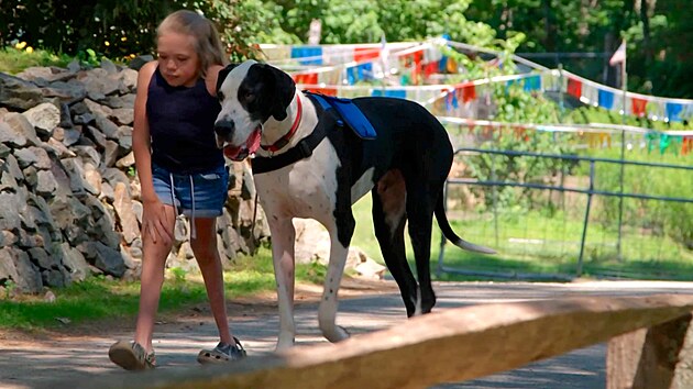 Bella jako tinctilet se svm asistennm psem Georgem, kter ji v deseti letech znovu nauil chodit. 