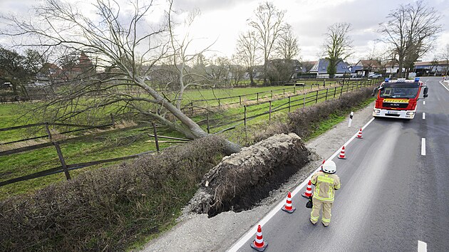 Siln vtr nedaleko nmeckho Hannoveru vyvracel stromy. (17. nora 2022)