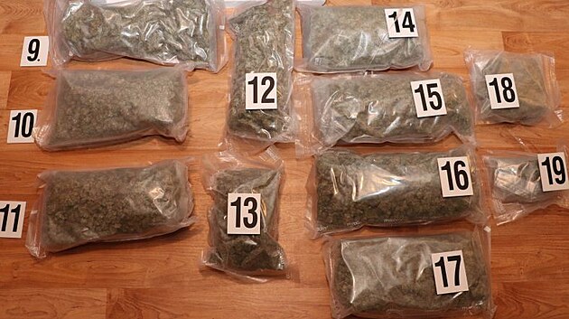 Policie R pi prohldkch zajistila mimo jin sedm pstren netechnickho konop, 16 kilogram marihuany, 449 rostlin konop, 200 g kokainu. (18. nora 2022)