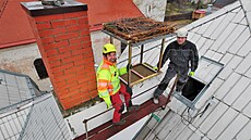 Stecha mateské koly v Tebeni nese nové apí hnízdo. Za pomoci výkové...