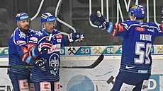 Ilustraní snímek: Hokejová extraliga, 37. kolo, HC Sparta Praha - HC Verva Litvínov. Trenér Litvínova Vladimír Rika