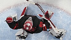 Olympijský turnaj mu�� v ledním hokeji. Kanada- N�mecko. Kanadský branká� Eddie...