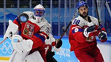 Olympijský turnaj mu v ledním hokeji. Zápas esko - výcarsko. Na snímku...