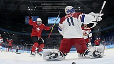 Olympijský turnaj v ledním hokeji. esko - výcarsko. Branká imon Hrubec...