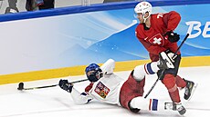Olympijský turnaj v ledním hokeji. esko - výcarsko. Na snímku leící Michael...