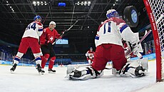 Olympijský turnaj v ledním hokeji. esko - výcarsko. Na snímku branká imon...