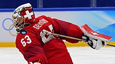 Olympijský turnaj mu�� v ledním hokeji. �esko - �výcarsko. �výcarský branká�...
