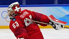 Olympijský turnaj mu v ledním hokeji. esko - výcarsko. výcarský branká...