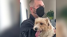 Zásahová jednotka p�ekvapila dealery, drogy na�el teriér Foxík