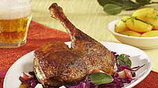 Hus stehna s ervenm zelm