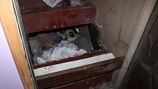 Ameri�tí policisté nalezli poh�e�ovanou Paislee Shultisovou. Její rodi�e ji dva...