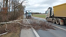 Spadlý strom komplikoval dopravu na silnici za Veselým nad Lunicí.