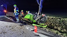 �idi� se zelenou �kodou Citigo narazil u Chroustovic do stromu a skon�il na...
