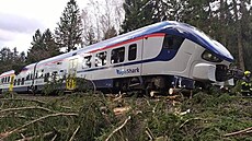 O obce Raná na Hlinecku vykolejil vlak kv�li popadaným strom�m na koleje.