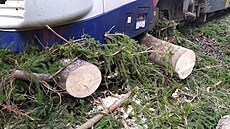 O obce Raná na Hlinecku vykolejil vlak kvli popadaným stromm na koleje. Bhem...