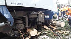 Vlak u obce Raná vykolejil poté, co narazil do popadaných strom.