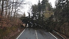 Hasiči v Pardubickém kraji po celý den likvidovaly následky větrné bouře. | na serveru Lidovky.cz | aktuální zprávy