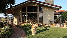 D�m má �ty�nohého hlída�e...