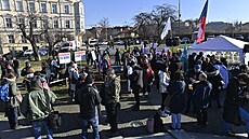 Protestní akce iniciativy Chcípl PES proti přijetí pandemického zákona v Senátu... | na serveru Lidovky.cz | aktuální zprávy