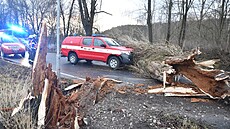 V Karlových Varech v ulici Závodní narazilo do spadlého stromu velitelské auto... | na serveru Lidovky.cz | aktuální zprávy