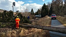 Drání hasii odstraují spadlý strom pes elezniní tra. (17. února 2022)