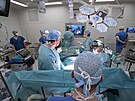 V praském IKEMu v únoru provedli první transplantaci jater od ijícího dárce...