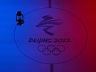 Ledová plocha na Národním krytém stadionu v Pekingu ped startem olympijského...