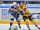 55. kolo hokejové extraligy: HC Kometa Brno - HC Verva Litvínov. 21letý útoník...
