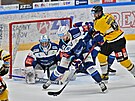 55. kolo hokejové extraligy: HC Kometa Brno - HC Verva Litvínov. Zleva branká...