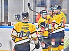 55. kolo hokejové extraligy: HC Kometa Brno - HC Verva Litvínov. Hokejisté z...