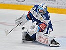 55. kolo hokejové extraligy: HC Kometa Brno - HC Verva Litvínov. Branká Brna...
