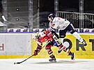 Utkání 55. kola hokejové extraligy: HC Dynamo Pardubice - Bílí Tygi Liberec....