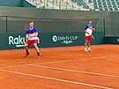 etí tenisté Jií Leheka (vlevo) a Vít Kopiva trénují v Argentin ped...