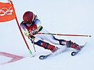 Amerianka Mikaela Shiffrinová bhem osmifinále týmového paralelního slalomu na...