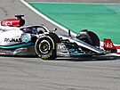 Lewis Hamilton z Mercedesu pi pedsezónním testování