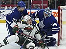 Petr Mrázek (35) v brán Toronto Maple Leafs v zápase s Minnesota Wild. Timothy...