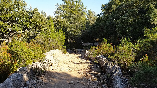 Pomalu stoupm kamenitou cestou mezi olivovnky