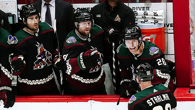 Anton Stralman (86) z Arizona Coyotes slav� g�l se spoluhr��i. Gratuluj� Antoine Roussel (26), Phil Kessel (81) a Nick Schmaltz (8).