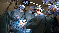 V pra�ském IKEMu v únoru provedli první transplantaci jater od �ijícího dárce...