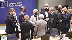 Jednání Evropské rady v Bruselu (24. února 2022) | na serveru Lidovky.cz | aktuální zprávy