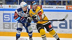 55. kolo hokejové extraligy: HC Kometa Brno - HC Verva Litvínov. 21letý úto�ník...