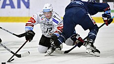 Utkání 48. kola hokejové extraligy: Bílí Tygři Liberec - HC Energie Karlovy...