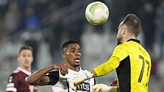 Ricardo Gomes z Partizanu a sparanský branká Dominik Holec.