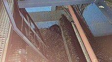 Hasi�ská záchrana bobra z vodní elektrárny v T�inci na Frýdecko-Místecku.